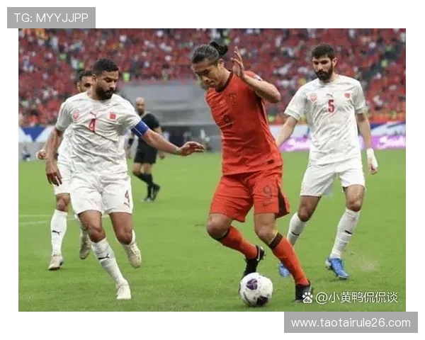 2002年世界杯中国队的崛起与挑战，见证中国足球的历史性时刻