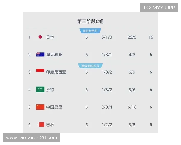 2026年世界杯亚洲区预选赛对中国足球发展的意义与未来展望