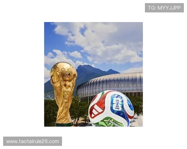 2026年世界杯比赛用球的使用体验与运动员反馈总结