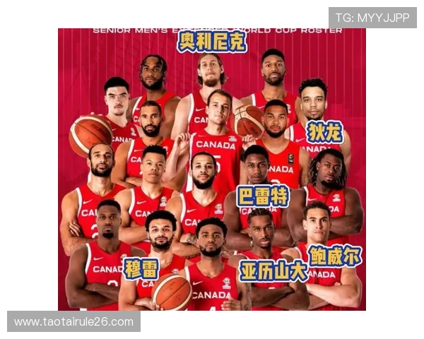 2023年世界杯预选赛分组出炉，详细介绍各组球队实力分析与晋级前景预测