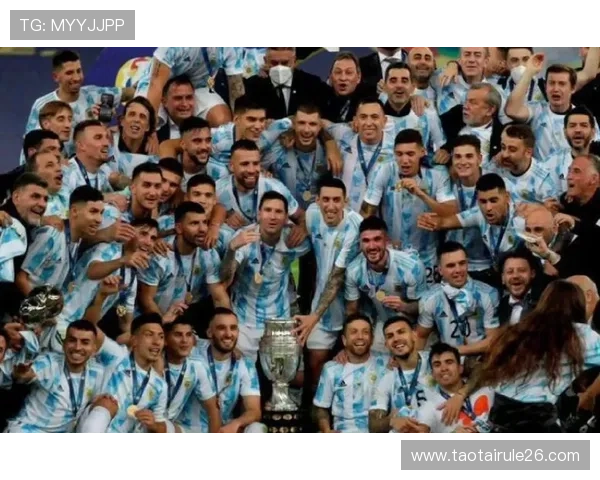 世界杯历届进球榜全面盘点，揭示足球历史上的精彩瞬间与传奇球员