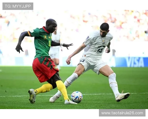 世界杯比分实时更新，最全比赛结果一手掌握让你不错过每一个精彩瞬间