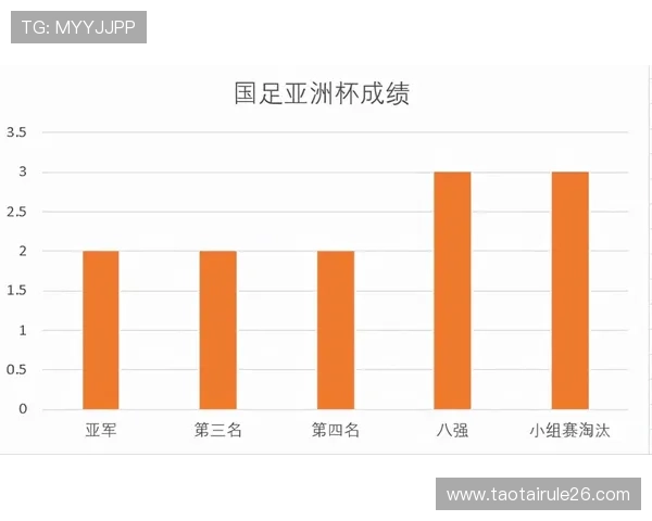 深入剖析2023世界杯数据分析报告揭示球队战术与胜负关键因素