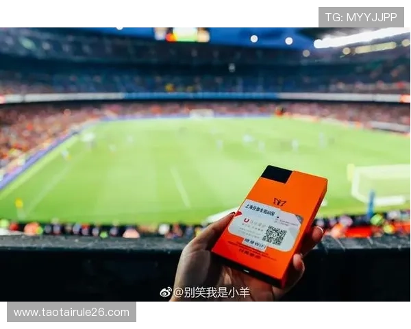 买球赛的正规app使用注意事项，避免被骗的实用建议与安全保障措施