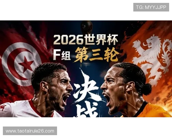 2026年世界杯突尼斯对阵荷兰比赛前两队状态全面解析与预测