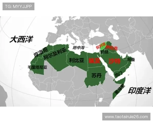 乌拉圭vs沙特比赛赔率详解：关注比赛走势与专家预测分析